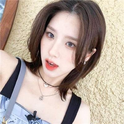 好莱坞以北 在线观看